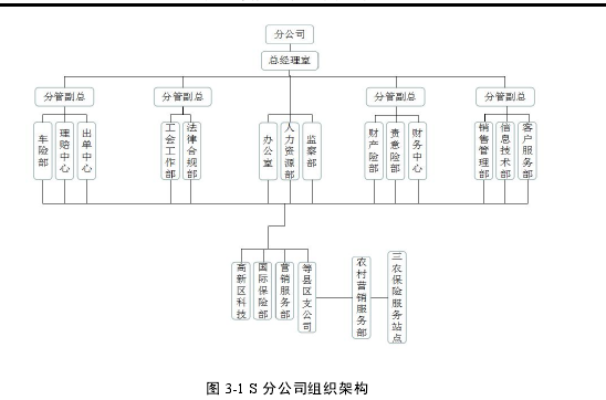 图 3-1 S 分公司组织架构
