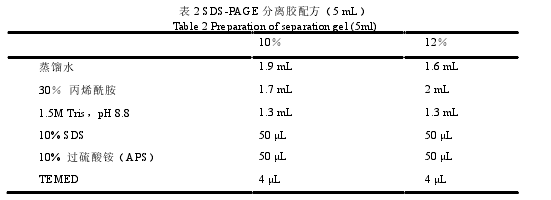 表 2 SDS-PAGE 分离胶配方（5 mL） 