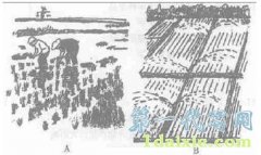 代写作业-高中地理第三单元《文化景观》训练