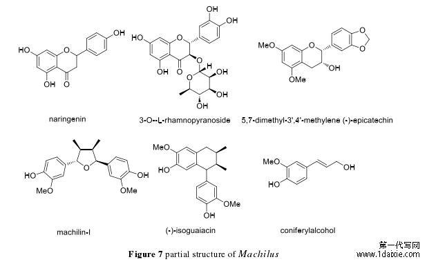 Figure 7 partial structure of Machilus 