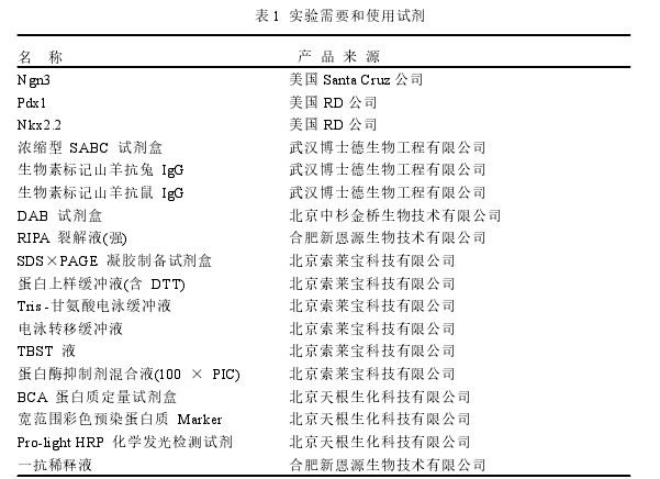表 1 实验需要和使用试剂