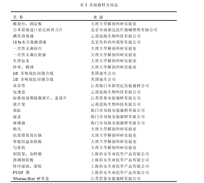 表 3 实验器材及用品
