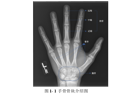 计算机论文参考