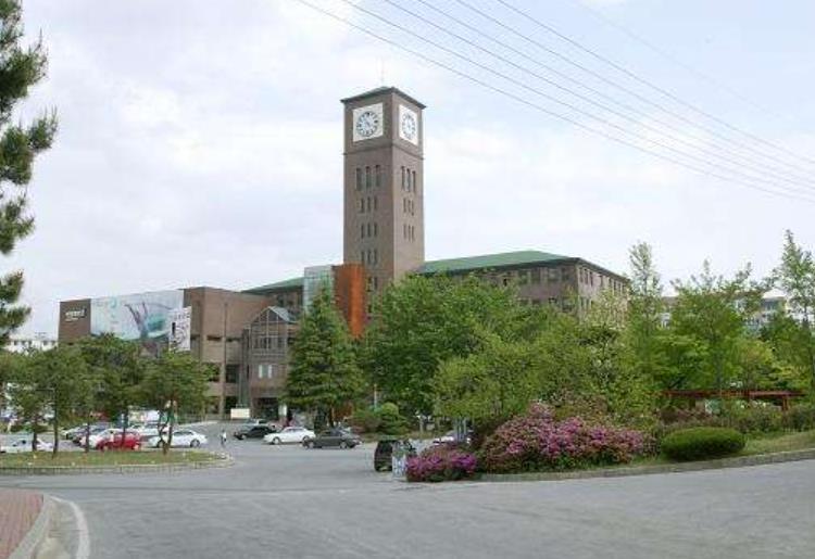 历史essay怎么写