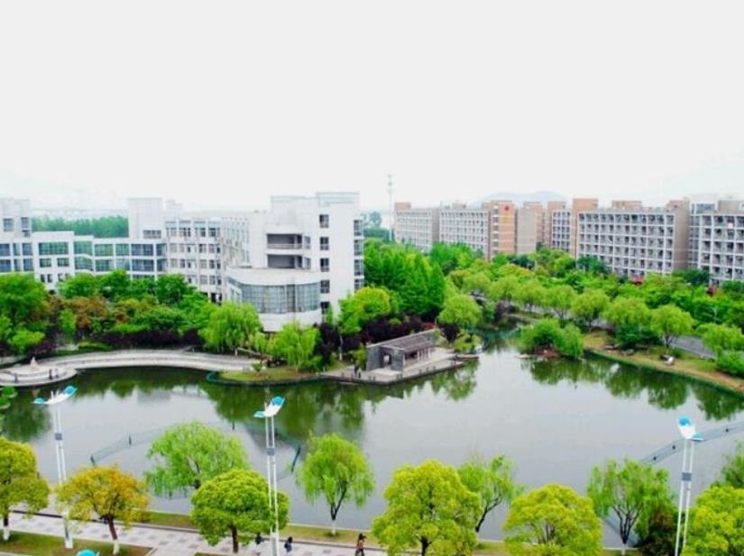  会计essay怎么写