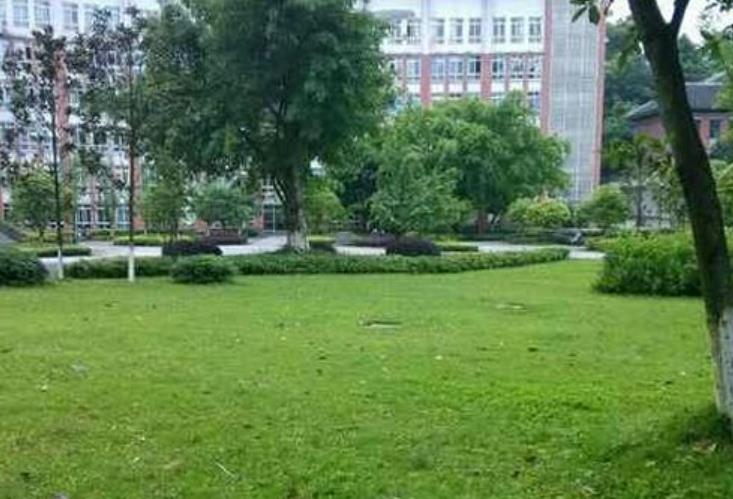 历史essay范例 