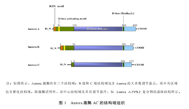 医学论文参考