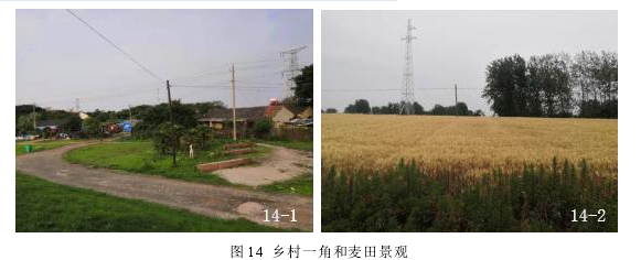 景观毕业论文参考