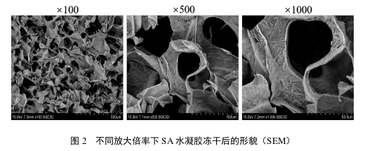 医学论文怎么写