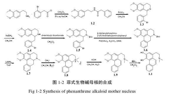 高校毕业论文怎么写