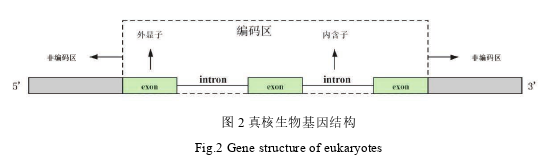 计算机论文参考