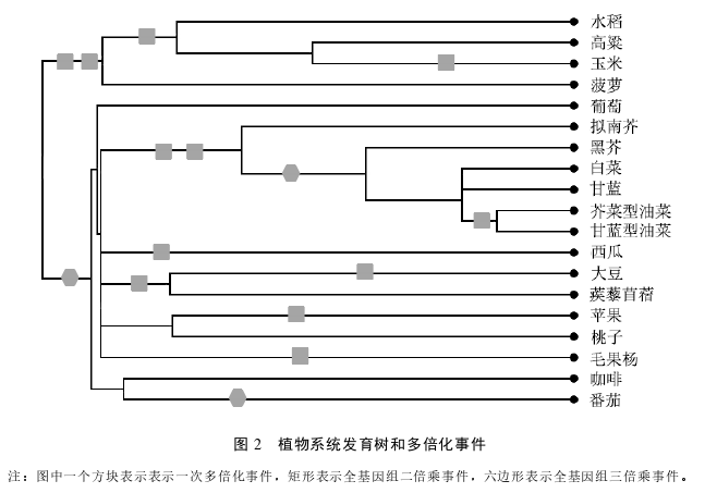 医学论文怎么写