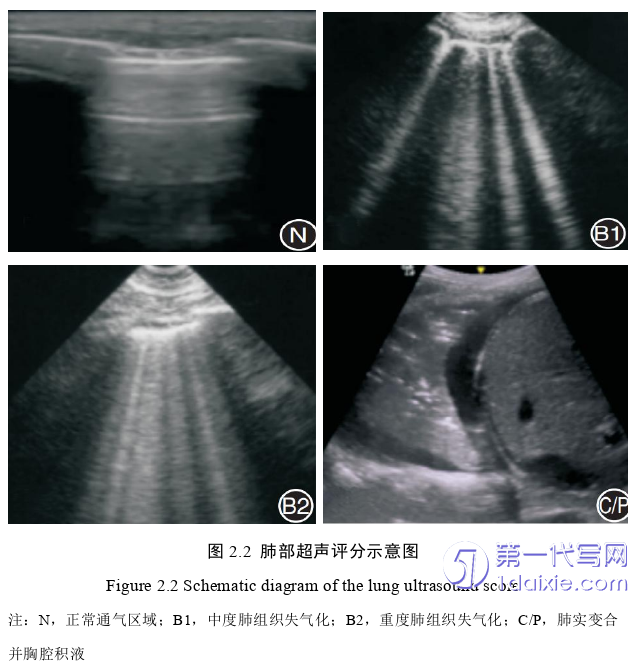 医学论文怎么写