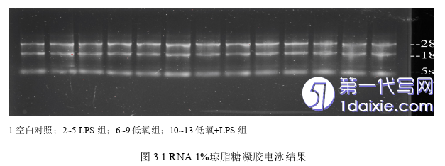 医学论文怎么写