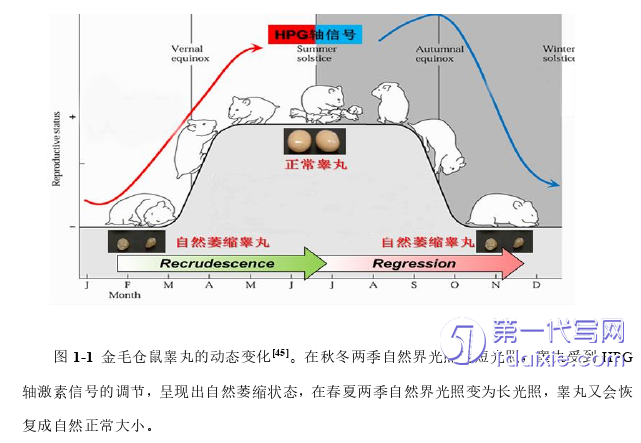 医学论文参考