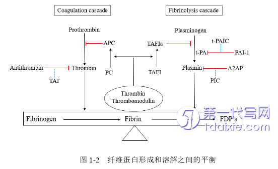 医学论文怎么写