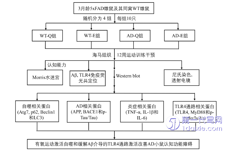 医学论文怎么写