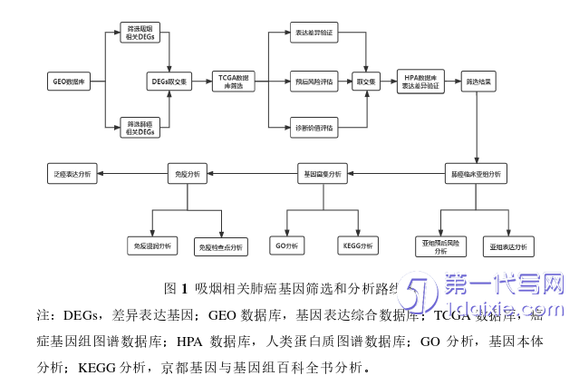 医学论文怎么写