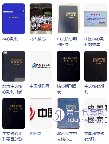 2025最新核心刊物市场反馈水平