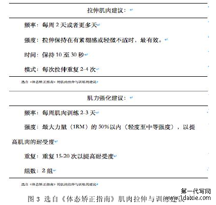 图 3 选自《体态矫正指南》肌肉拉伸与训练建议