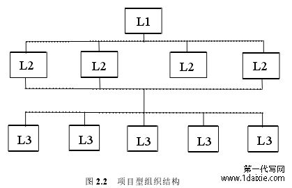 图 2.2 项目型组织结构