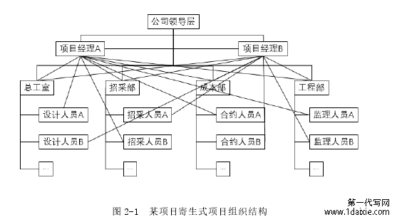 图 2-1 某项目寄生式项目组织结构